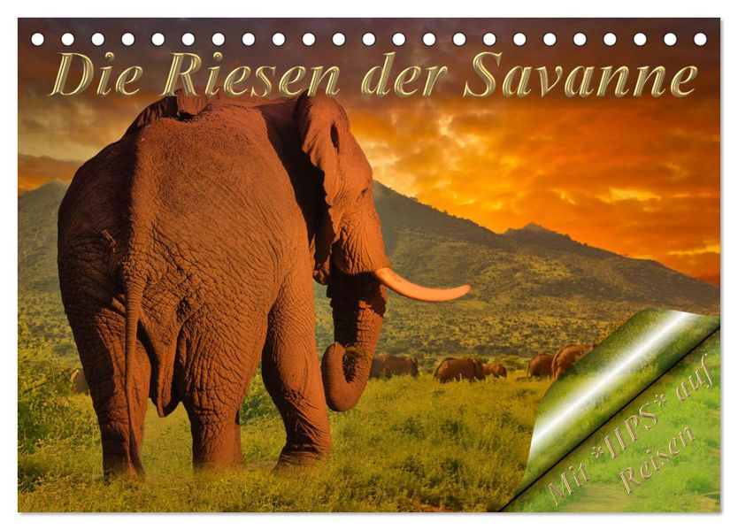 Die Riesen der Savanne (Tischkalender 2027 DIN A5 quer) CALVENDO Monatskalender