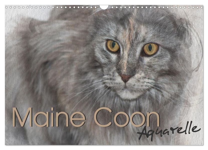 Maine Coon Aquarelle (Wandkalender 2027 DIN A3 quer) CALVENDO Monatskalender