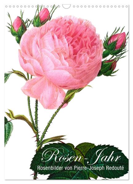 Rosen-Jahr (Wandkalender 2027 DIN A3 hoch) CALVENDO Monatskalender