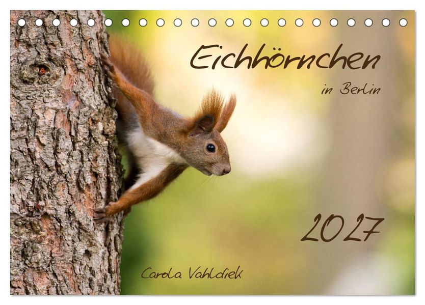 Eichhörnchen in Berlin (Tischkalender 2027 DIN A5 quer) CALVENDO Monatskalender