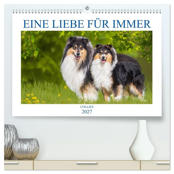 Eine Liebe für immer - Collies (hochwertiger Premium Wandkalender 2027 DIN A2 quer) Kunstdruck in Hochglanz