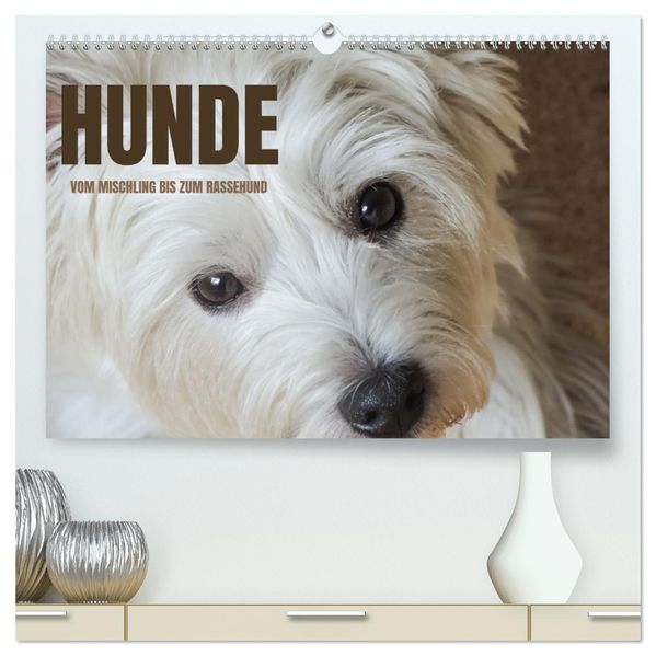 Hunde - vom Mischling bis zum Rassehund (hochwertiger Premium Wandkalender 2027 DIN A2 quer) Kunstdruck in Hochglanz