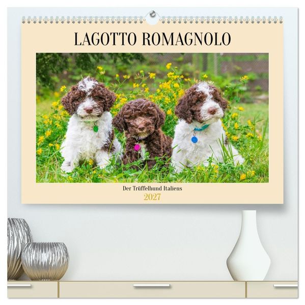 Lagotto Romagnolo - der Trüffelhund Italiens (hochwertiger Premium Wandkalender 2027 DIN A2 quer) Kunstdruck in Hochglanz