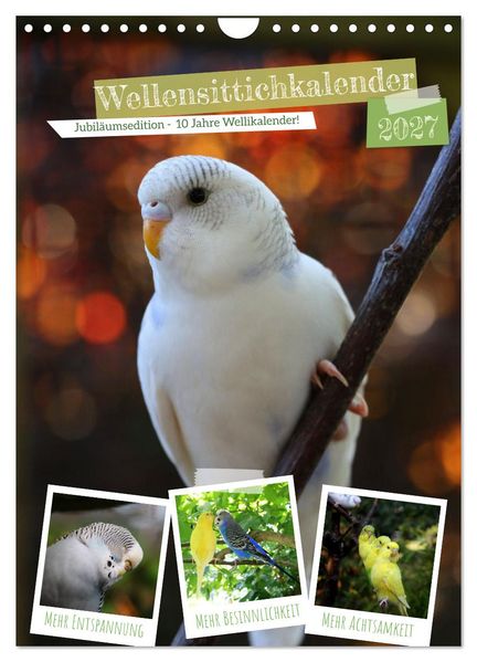 Wellensittichkalender Jubiläumsedition - 10 Jahre Wellensittichkalender! (Wandkalender 2027 DIN A4 hoch) CALVENDO Monatskalender