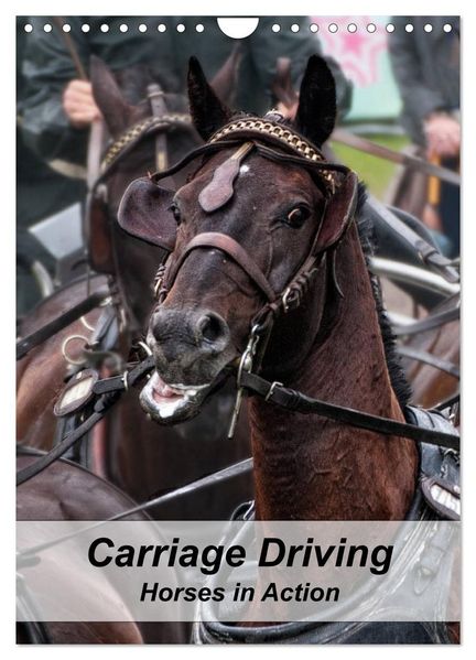 Carriage Driving - Horses in Action (Wall Calendar 2027 DIN A4 portrait) CALVENDO 12 Month Wall Calendar