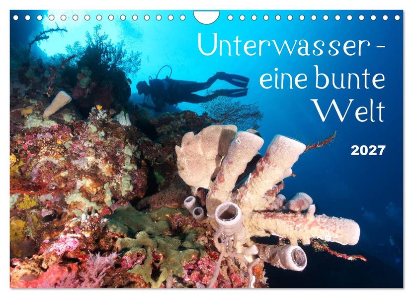 Unterwasser - eine bunte Welt (Wandkalender 2027 DIN A4 quer) CALVENDO Monatskalender
