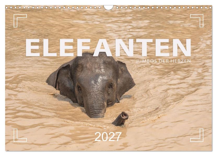 ELEFANTEN Jumbos der Herzen (Wandkalender 2027 DIN A3 quer) CALVENDO Monatskalender