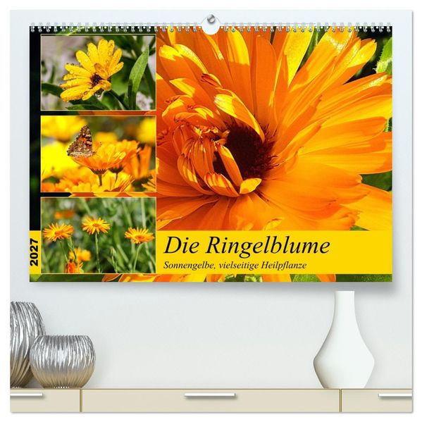 Die Ringelblume. Sonnengelbe vielseitige Heilpflanze (hochwertiger Premium Wandkalender 2027 DIN A2 quer) Kunstdruck in Hochglanz