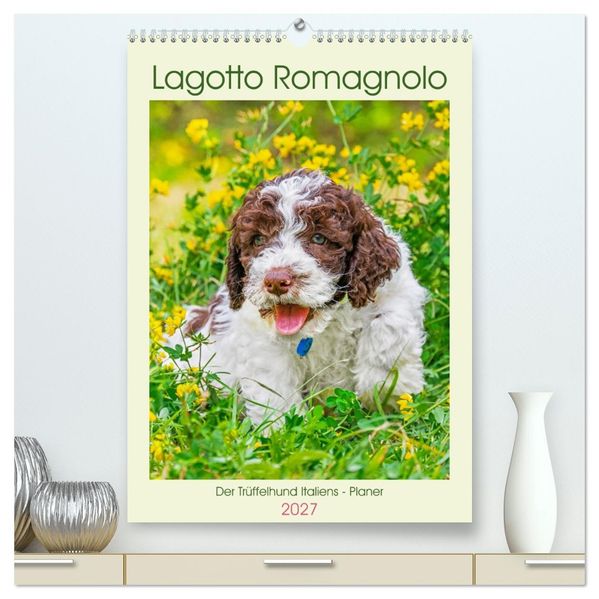 Lagotto Romagnolo - Der Trüffelhund Italiens - Planer (hochwertiger Premium Wandkalender 2027 DIN A2 hoch) Kunstdruck in Hochglanz