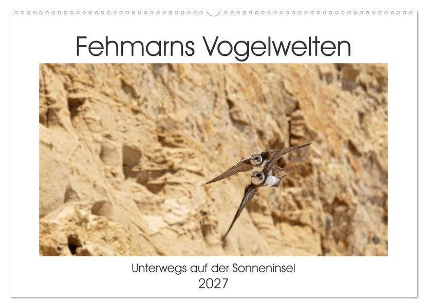 Fehmarn Vogelwelten (Wandkalender 2027 DIN A2 quer) CALVENDO Monatskalender