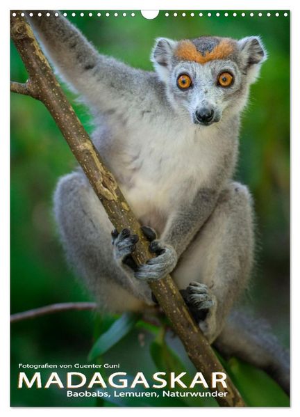 MADAGASKAR: Baobabs Lemuren Naturwunder (Wandkalender 2027 DIN A3 hoch) CALVENDO Monatskalender