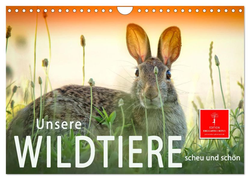 Unsere Wildtiere - scheu und schön (Wandkalender 2027 DIN A4 quer) CALVENDO Monatskalender