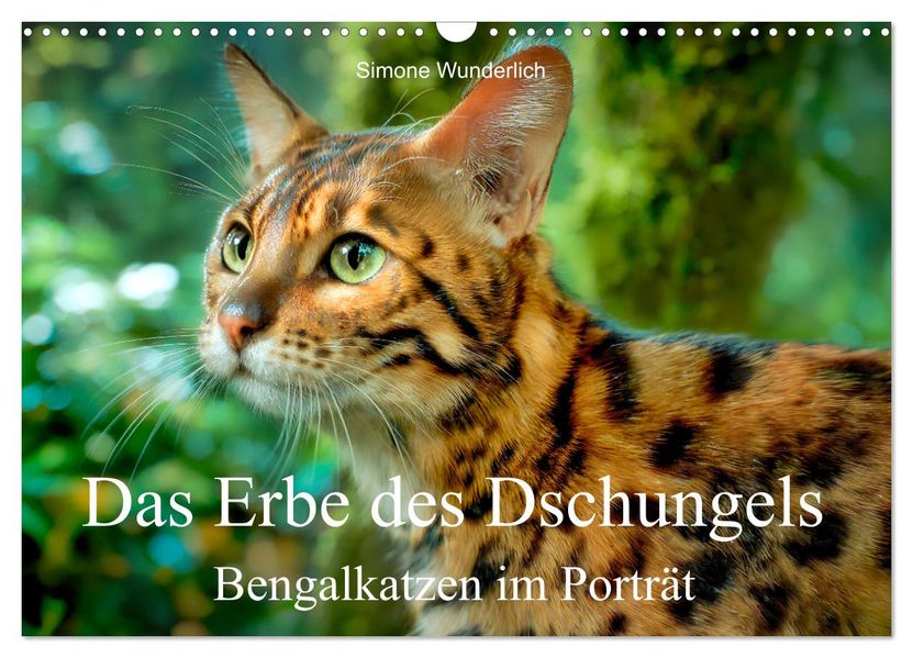 Das Erbe des Dschungels - Bengalkatzen im Porträt (Wandkalender 2027 DIN A3 quer) CALVENDO Monatskalender