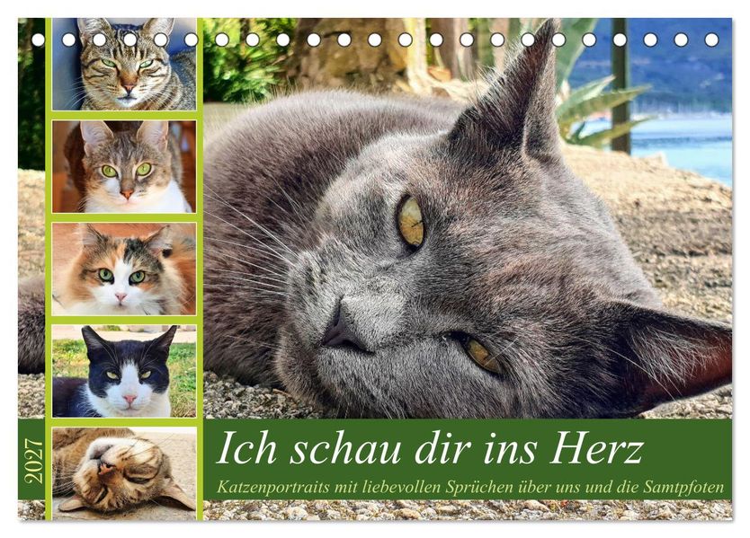 Ich schau dir ins Herz (Tischkalender 2027 DIN A5 quer) CALVENDO Monatskalender