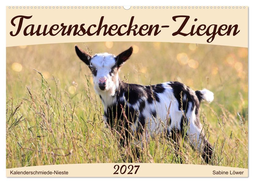 Tauernschecken-Ziegen (Wandkalender 2027 DIN A2 quer) CALVENDO Monatskalender