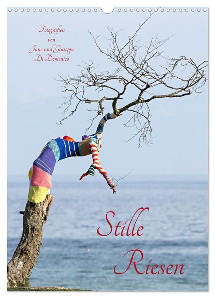 Stille Riesen (Wandkalender 2027 DIN A3 hoch) CALVENDO Monatskalender