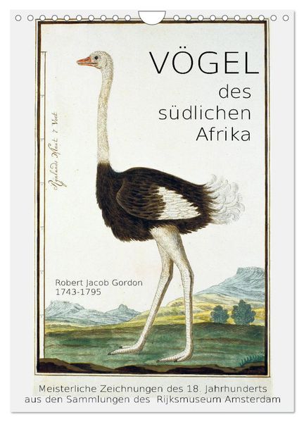 Vögel des südlichen Afrika (Wandkalender 2027 DIN A4 hoch) CALVENDO Monatskalender