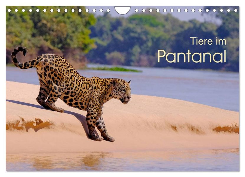 Tiere im Pantanal - Viaje (Wandkalender 2027 DIN A4 quer) CALVENDO Monatskalender