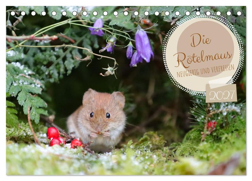Die Rötelmaus - neugierig und verfressen (Tischkalender 2027 DIN A5 quer) CALVENDO Monatskalender