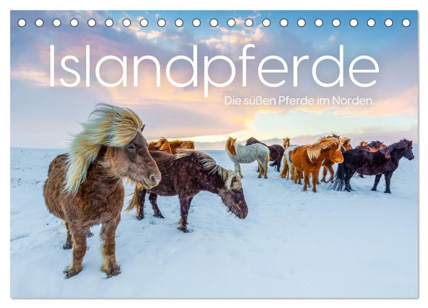 Islandpferde - Die süßen Pferde im Norden. (Tischkalender 2027 DIN A5 quer) CALVENDO Monatskalender