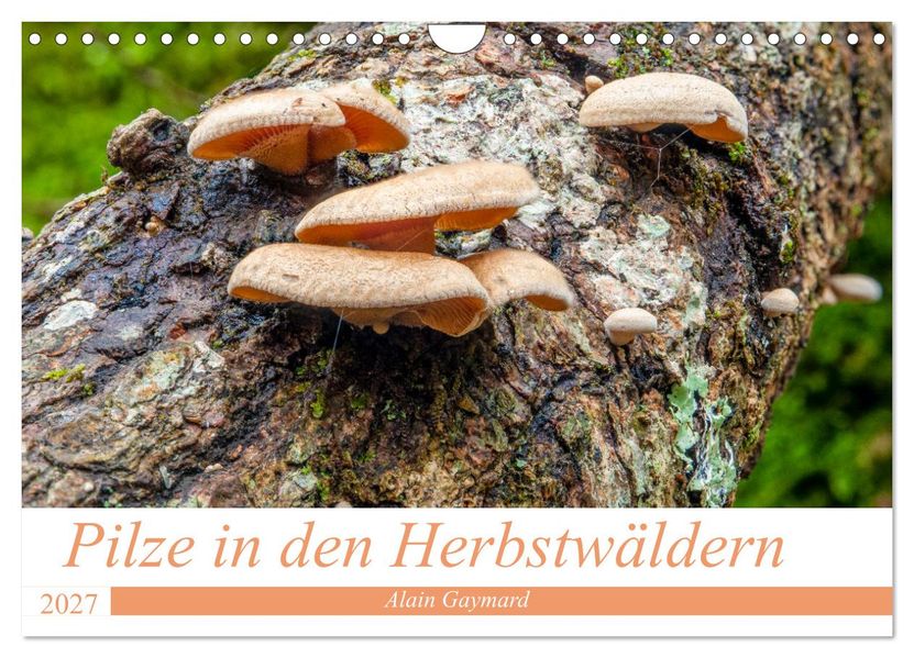 Pilze in den Herbstwäldern (Wandkalender 2027 DIN A4 quer) CALVENDO Monatskalender