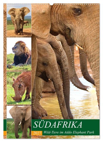 SÜDAFRIKA Wild-Tiere im Addo Elephant Park (Wandkalender 2027 DIN A2 hoch) CALVENDO Monatskalender
