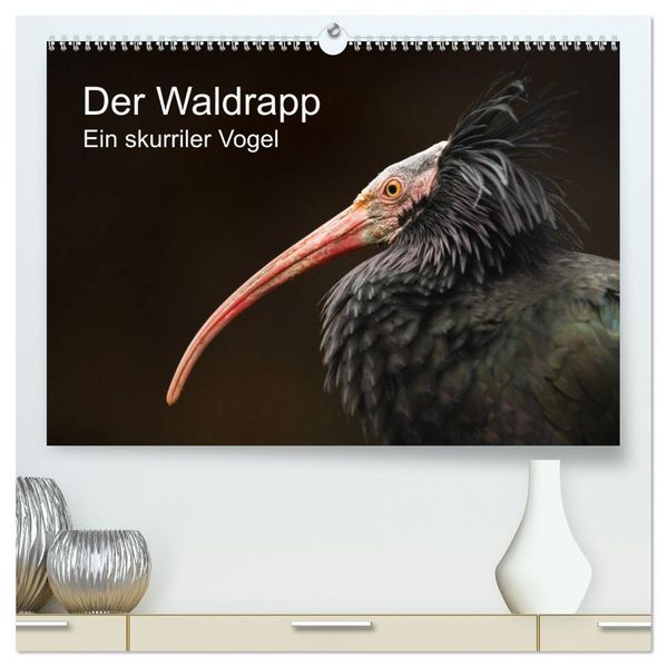 Der Waldrapp - Ein skurriler Vogel (hochwertiger Premium Wandkalender 2027 DIN A2 quer) Kunstdruck in Hochglanz