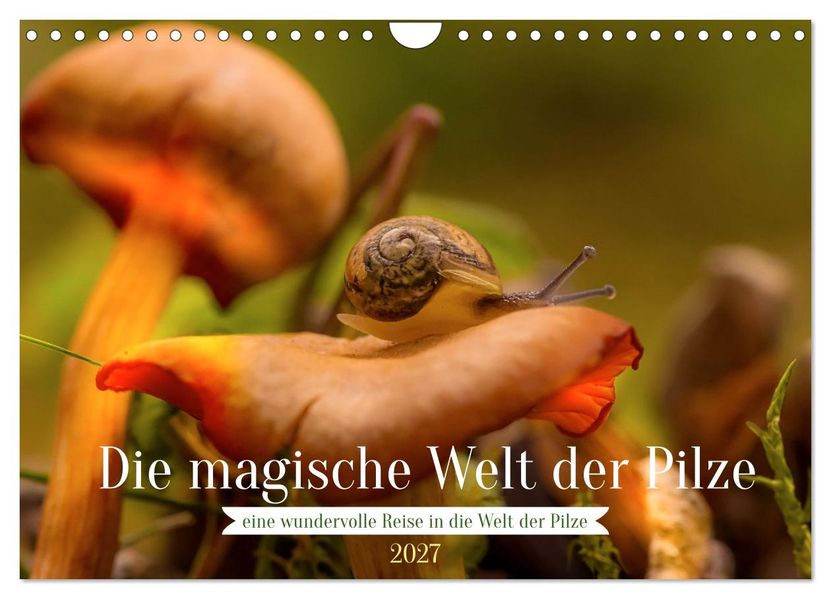 Die magische Welt der Pilze (Wandkalender 2027 DIN A4 quer) CALVENDO Monatskalender