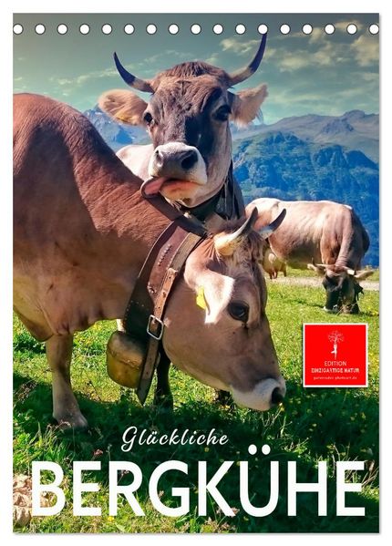 Glückliche Bergkühe (Tischkalender 2027 DIN A5 hoch) CALVENDO Monatskalender