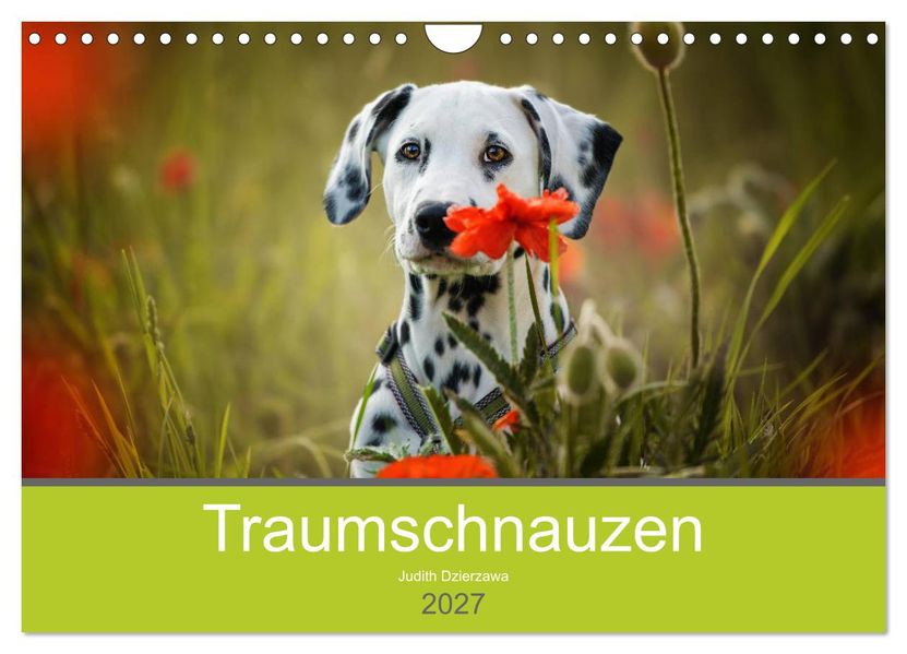 Traumschnauzen (Wandkalender 2027 DIN A4 quer) CALVENDO Monatskalender