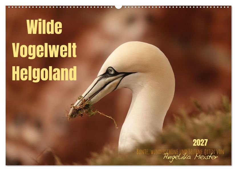 Wilde Vogelwelt Helgoland (Wandkalender 2027 DIN A2 quer) CALVENDO Monatskalender