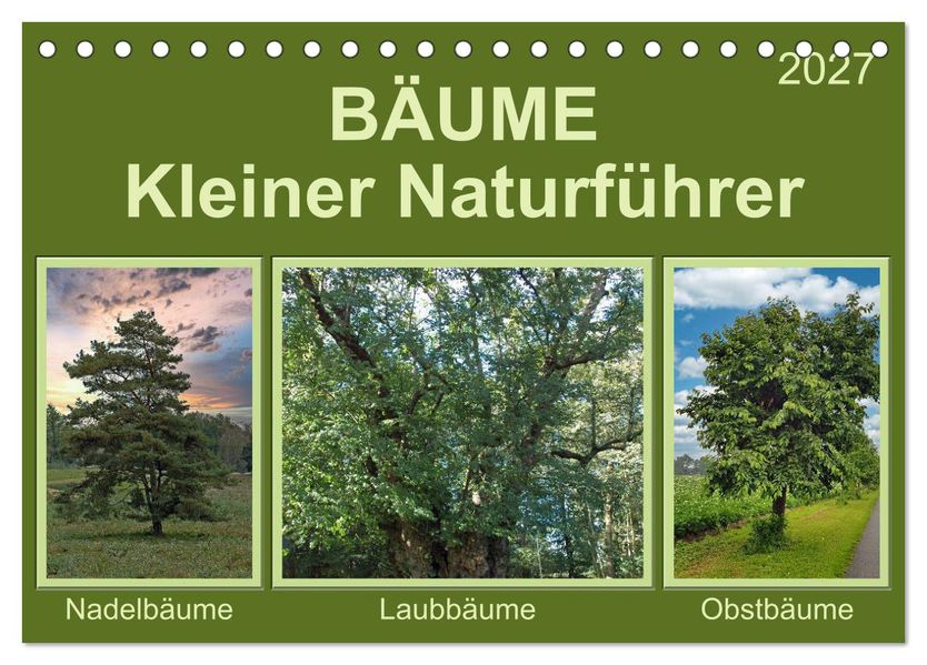 Bäume Kleiner Naturführer (Tischkalender 2027 DIN A5 quer) CALVENDO Monatskalender