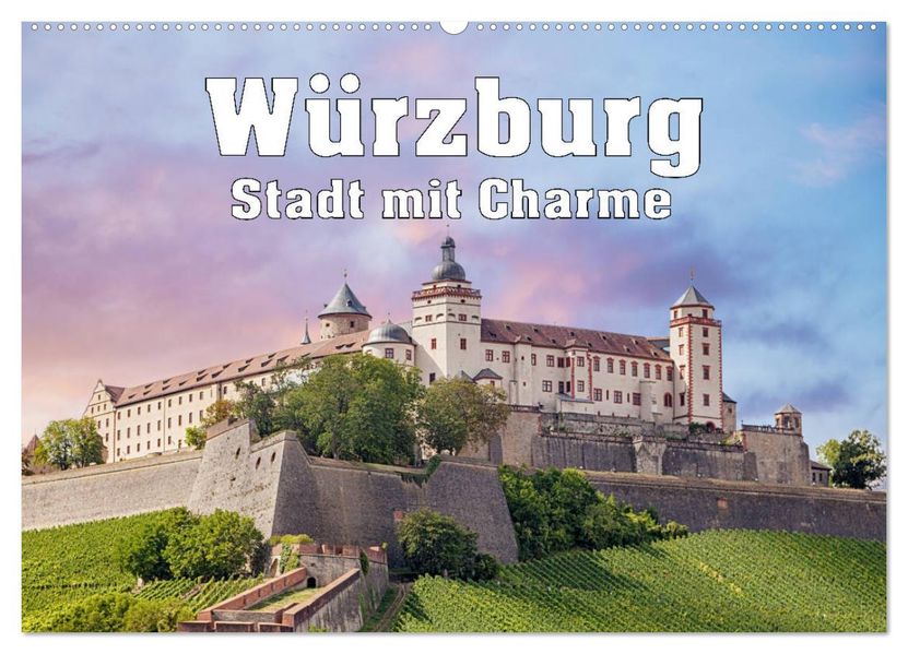 Würzburg - Stadt mit Charme (Wandkalender 2027 DIN A2 quer) CALVENDO Monatskalender
