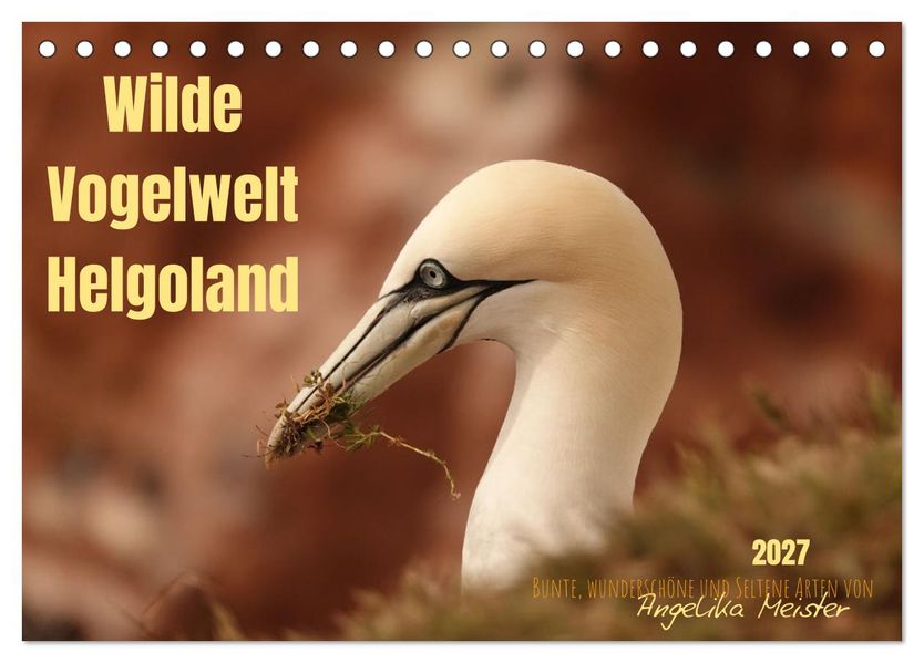 Wilde Vogelwelt Helgoland (Tischkalender 2027 DIN A5 quer) CALVENDO Monatskalender