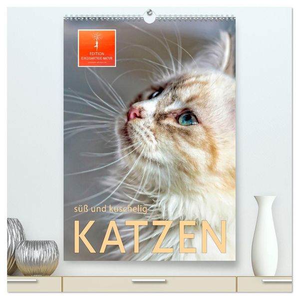 Katzen - süß und kuschelig (hochwertiger Premium Wandkalender 2027 DIN A2 hoch) Kunstdruck in Hochglanz