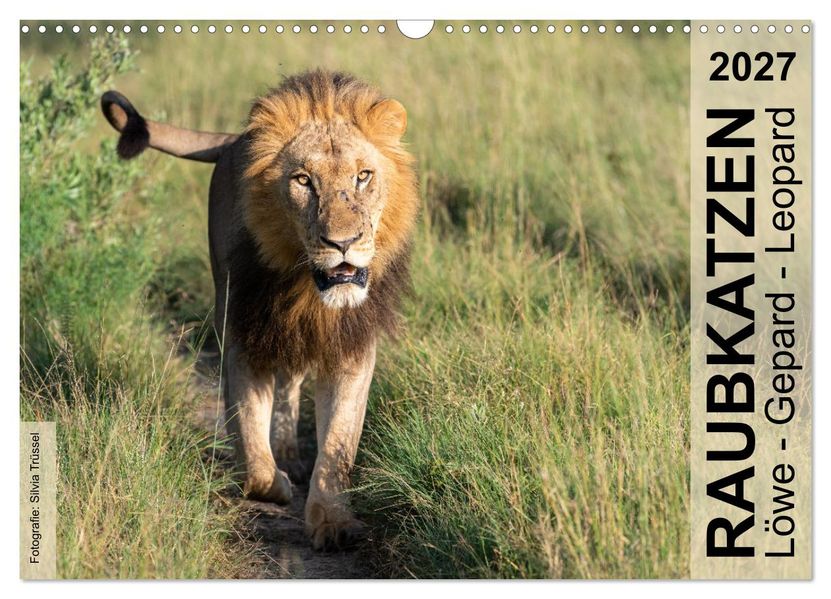Raubkatzen - Löwe Gepard Leopard (Wandkalender 2027 DIN A3 quer) CALVENDO Monatskalender