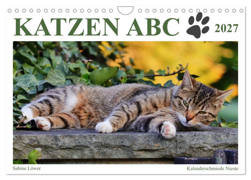 Katzen ABC (Wandkalender 2027 DIN A4 quer) CALVENDO Monatskalender