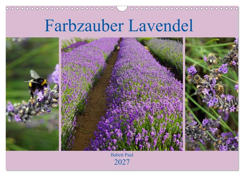 Farbzauber Lavendel (Wandkalender 2027 DIN A3 quer) CALVENDO Monatskalender