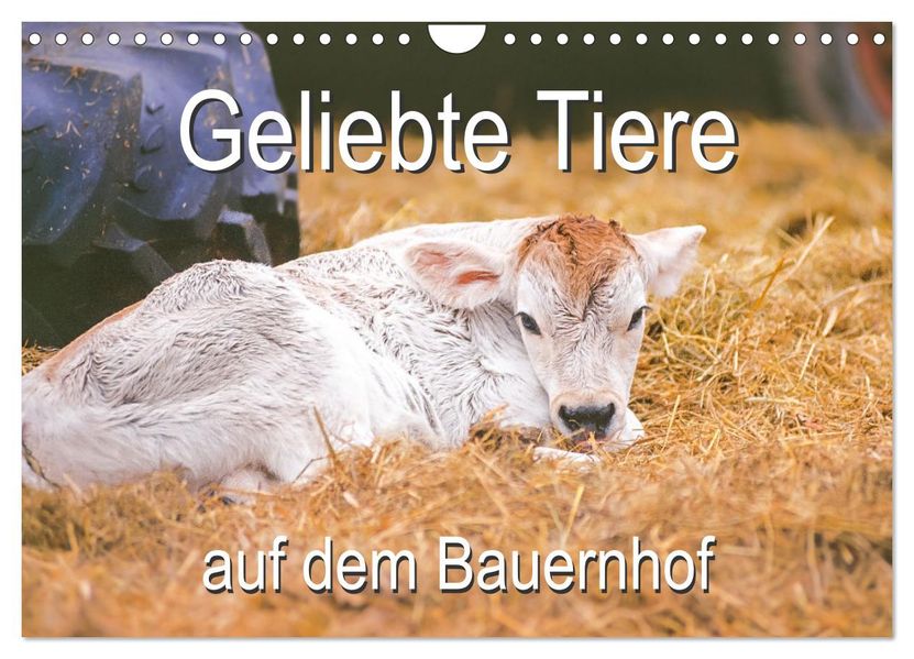 Geliebte Tiere auf dem Bauernhof (Wandkalender 2027 DIN A4 quer) CALVENDO Monatskalender