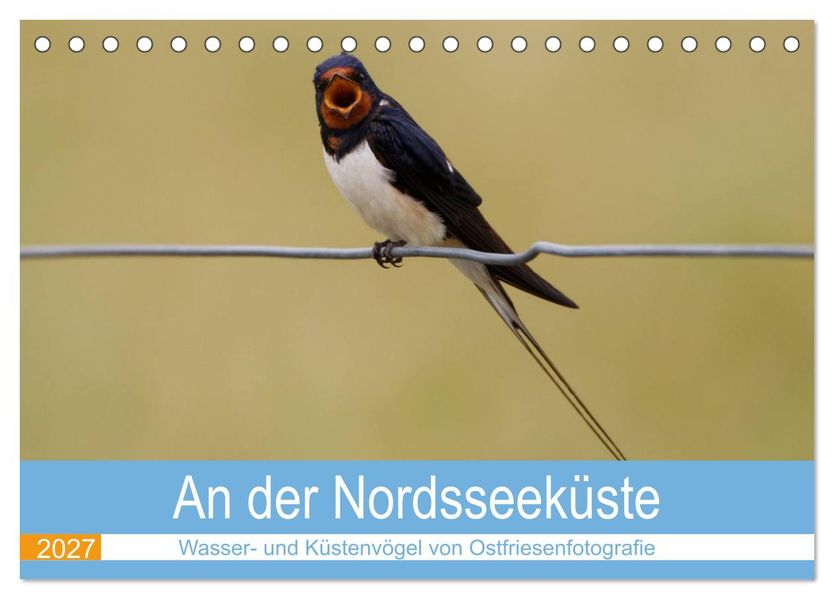 An der Nordseeküste - Wasser- und Küstenvögel fotografiert von Ostfriesenfotografie (Tischkalender 2027 DIN A5 quer) CALVENDO Monatskalender