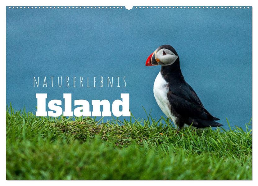 Naturerlebnis Island (Wandkalender 2027 DIN A2 quer) CALVENDO Monatskalender