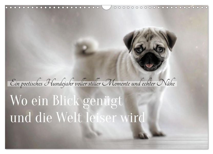 Wo ein Blick genügt und die Welt leiser wird (Wandkalender 2027 DIN A3 quer) CALVENDO Monatskalender