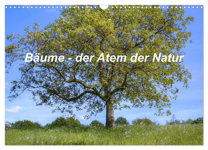 Bäume der Atem der Natur (Wandkalender 2027 DIN A3 quer) CALVENDO Monatskalender