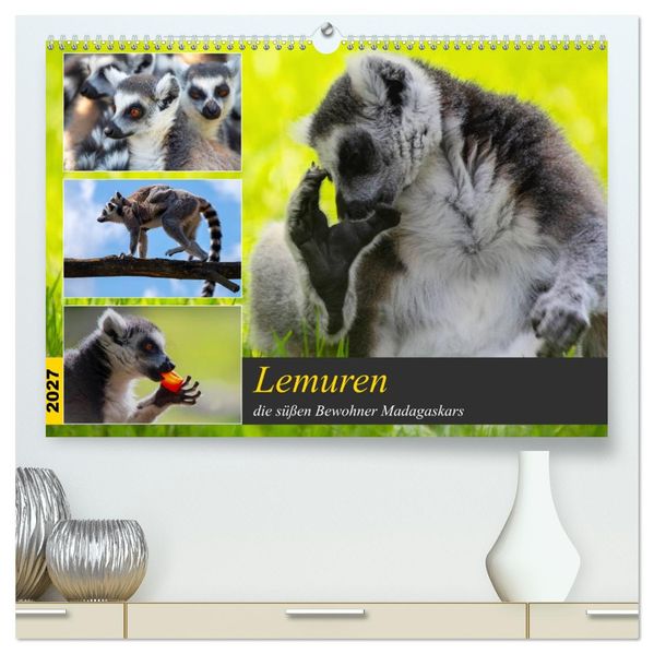 Lemuren die süßen Bewohner Madagaskars (hochwertiger Premium Wandkalender 2027 DIN A2 quer) Kunstdruck in Hochglanz