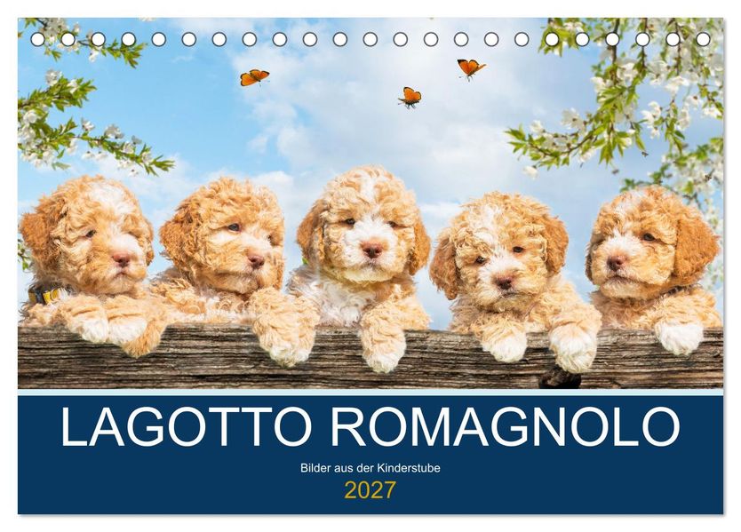 Lagotto Romagnolo - Bilder aus der Kinderstube (Tischkalender 2027 DIN A5 quer) CALVENDO Monatskalender