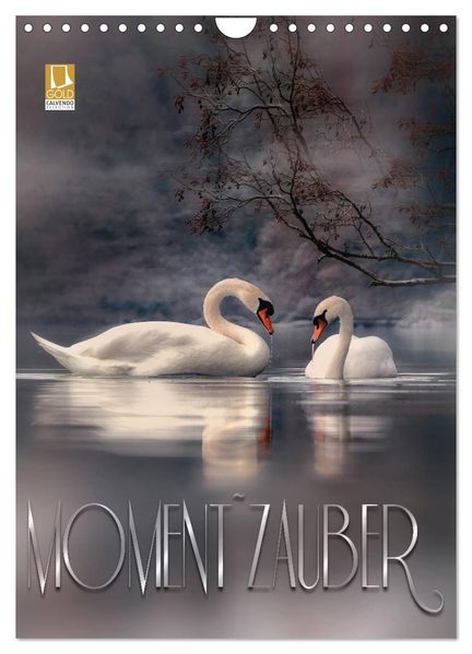 Moment Zauber (Wandkalender 2027 DIN A4 hoch) CALVENDO Monatskalender
