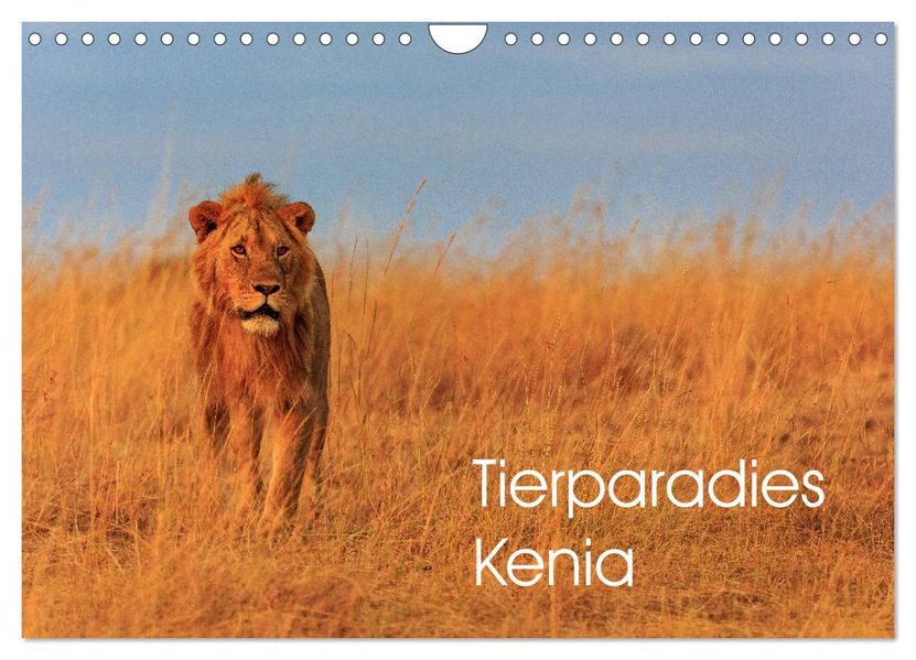 Tierparadies Kenia (Wandkalender 2027 DIN A4 quer) CALVENDO Monatskalender