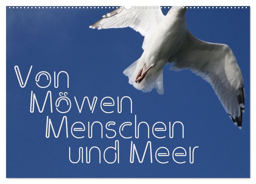 Von Möwen Menschen und Meer (Wandkalender 2027 DIN A2 quer) CALVENDO Monatskalender