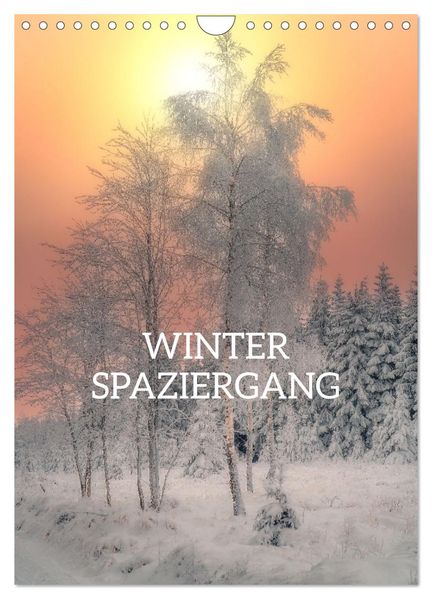 Winter Spaziergang (Wandkalender 2027 DIN A4 hoch) CALVENDO Monatskalender