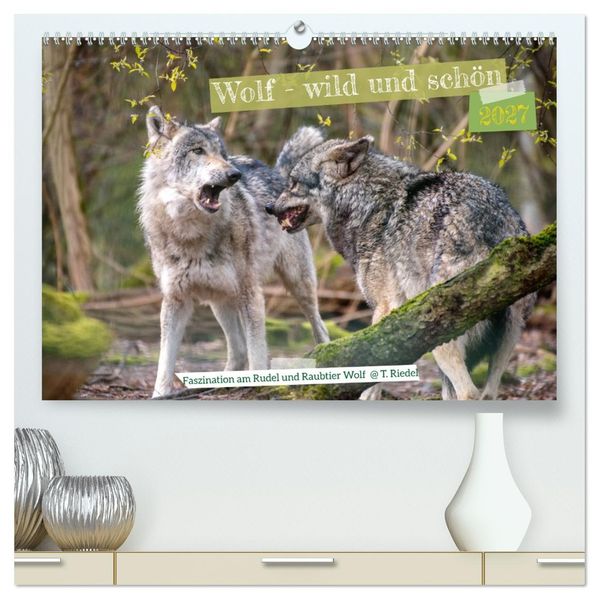 Wolf - wild und schön (hochwertiger Premium Wandkalender 2027 DIN A2 quer) Kunstdruck in Hochglanz